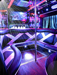 NY Party Bus rentals